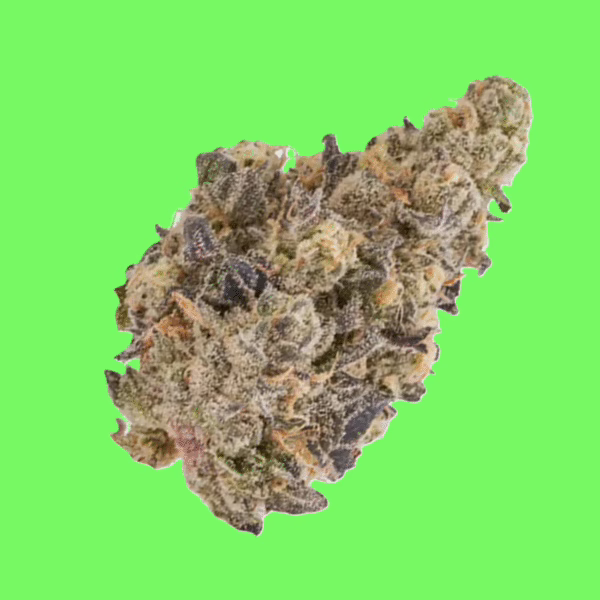 Dense cannabis bud with dark green and deep purple hues, coated in frosty trichomes and accented by orange pistils; known for its sweet, minty aroma and earthy undertones
