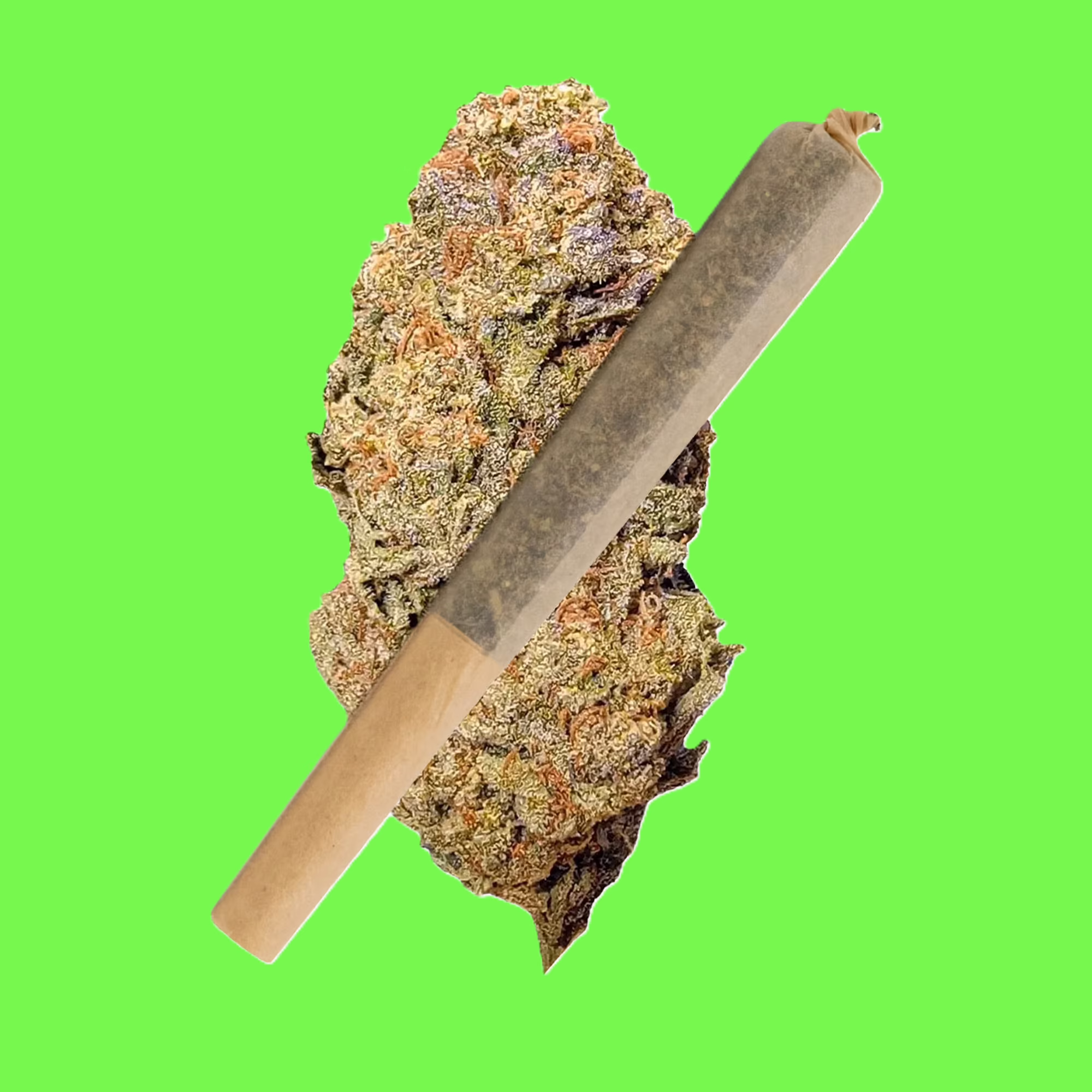 Rainbow Runtz THCa Pre-Roll – Premium cannabis joint with vibrant packaging and top-shelf flower